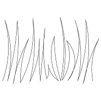 grass border 004